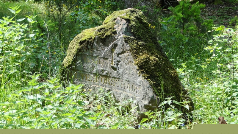 Ritterstein Nr. 126-3b 15 Schr. Altes Forsthaus.JPG - Ritterstein Nr.126 15 Schr. Altes Forsthaus                               
